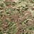 Multicam